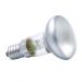 ŻARÓWKA REFLEKTOROWA 30W FROSTED 1794